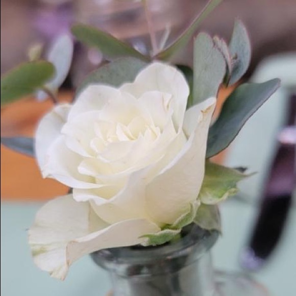 Meet your Posher, Giselle - Picture 1 of 1